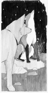 איור של זגני אורמוט-דורבין מתוך דידי שם זמני מאת עדנה קפלן-הגלר