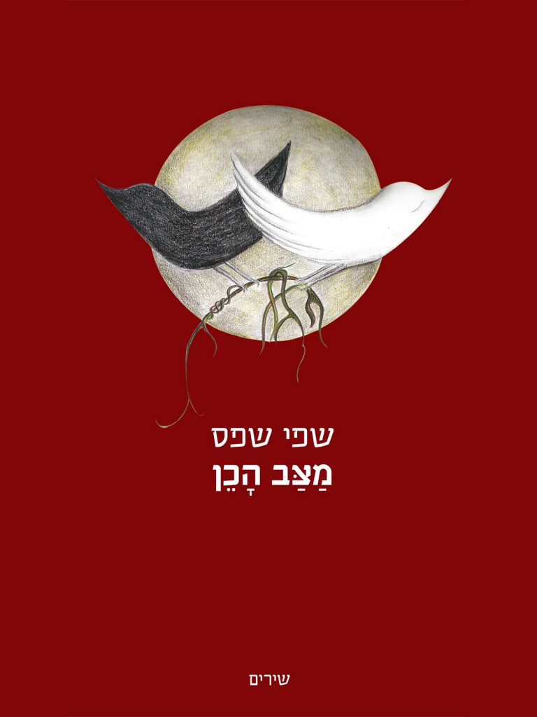 מצב הכן מאת שפי שפס