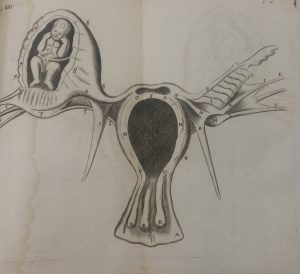אברי הפוריות - 1745 (הספרייה הלאומית)